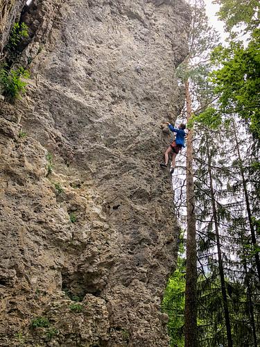 Oberpfälzer Frankenjura