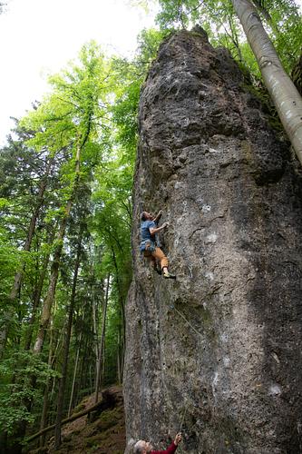 Lauf am Forellenbach